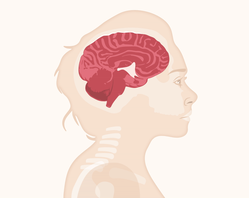 Brain Health & Memory