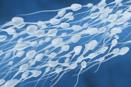5 Ways to Improve Your Sperm Health: Common Myths Debunked