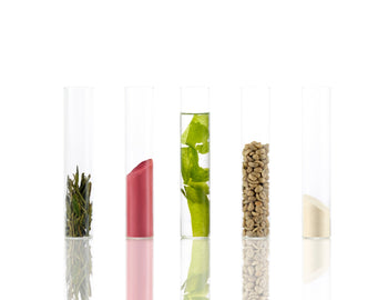 The Powerhouse Ingredients for Energy, Metabolism & Gut Health